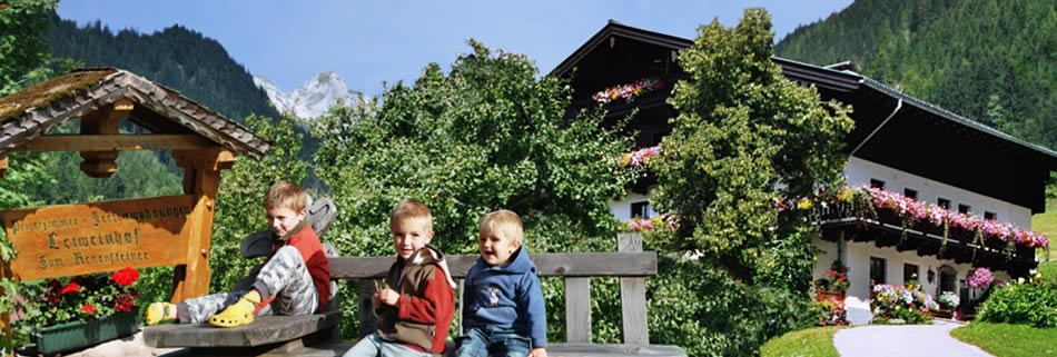 Leiweinhof - Urlaub am Bauernhof in Werfenweng